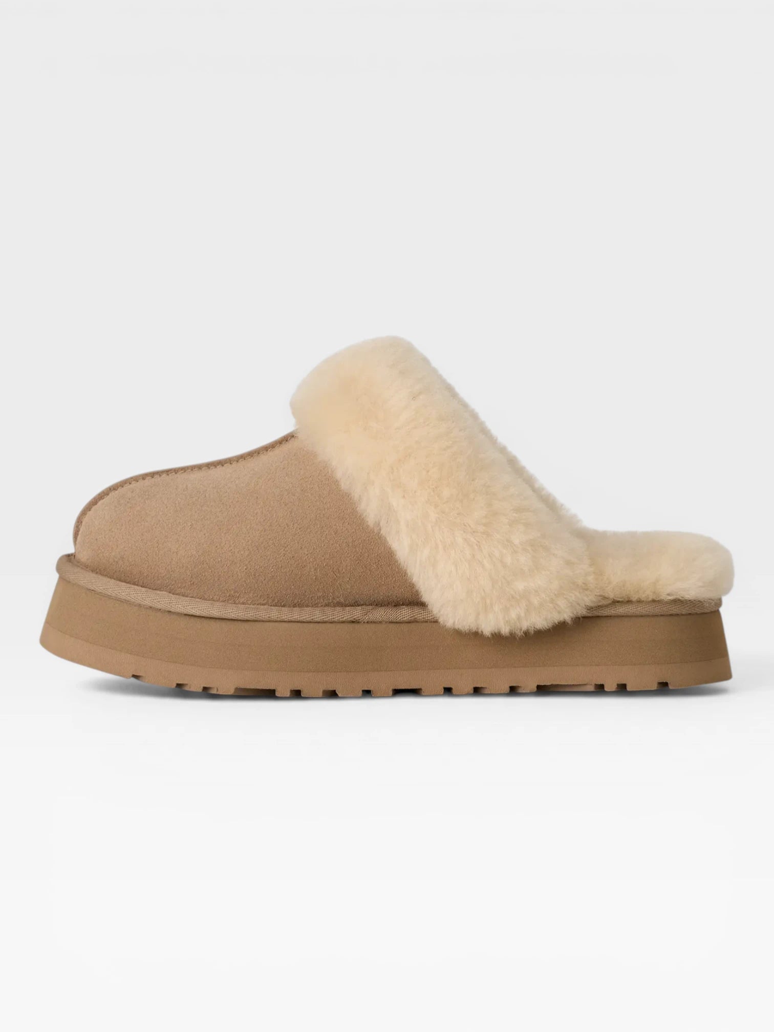 Disquette Slipper