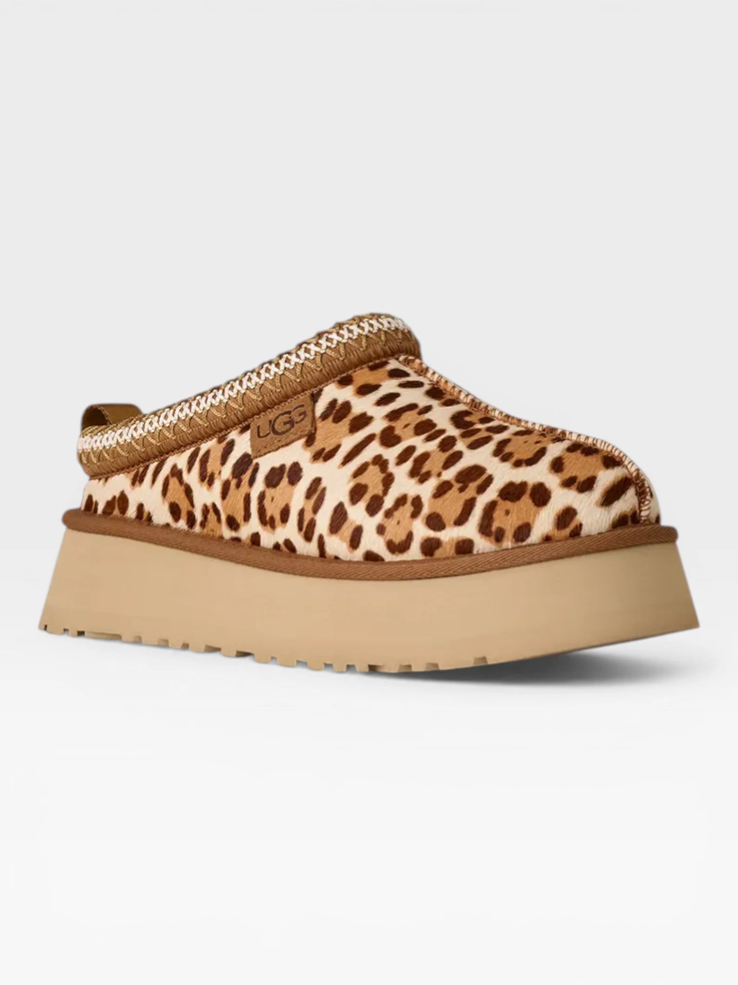 Tazz Leopard