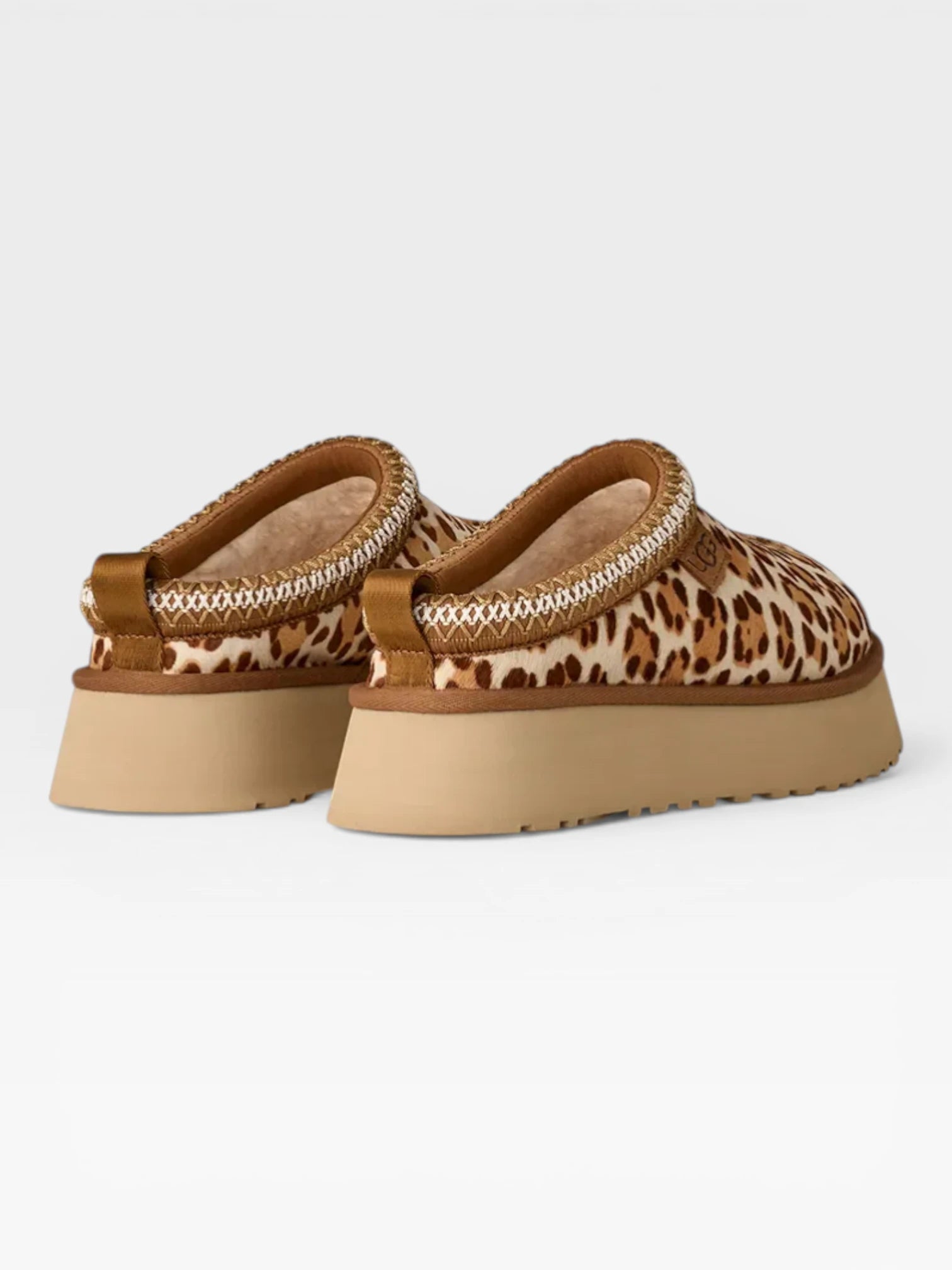 Tazz Leopard