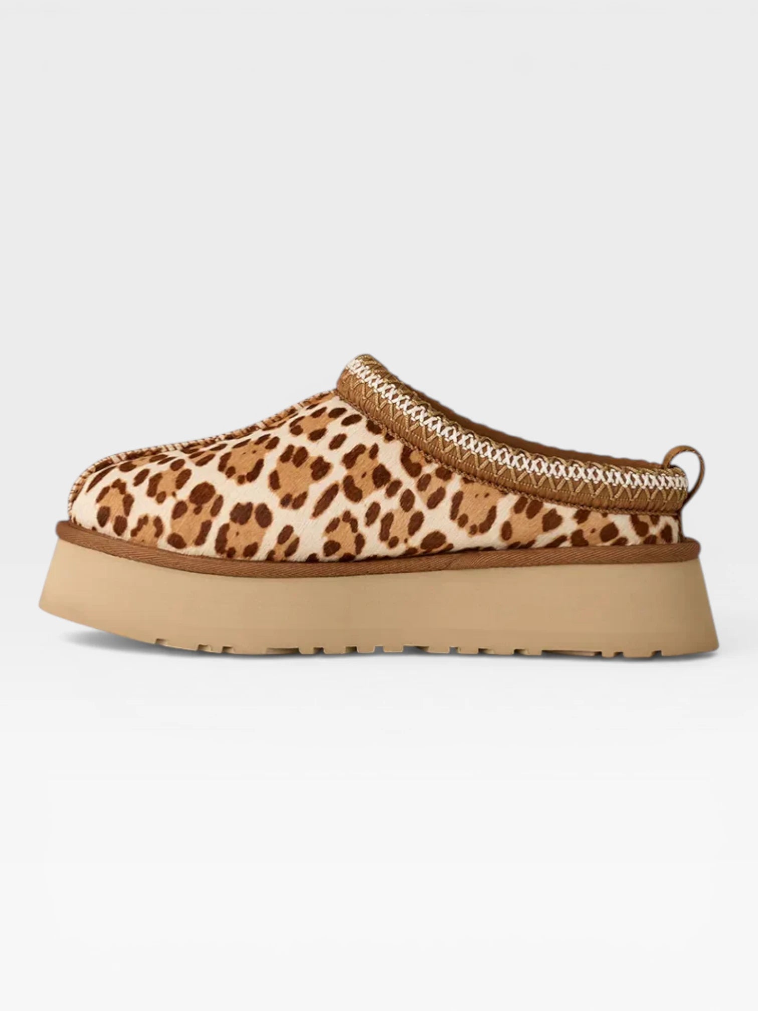 Tazz Leopard